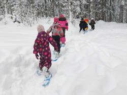 Kuusi lasta kulkee jonossa lumikengät jalassa metsässä / Satu Jokilahti