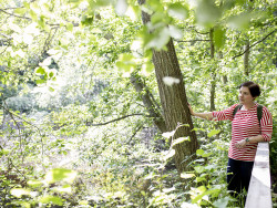 Nainen seisoo puiden keskellä. Kuva Hanna-Kaisa Hämäläinen