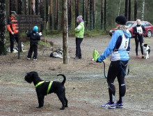 Koiria ja juoksijoita valmistautumassa koirajuoksukilpailuun. Kuva Salme Korkala